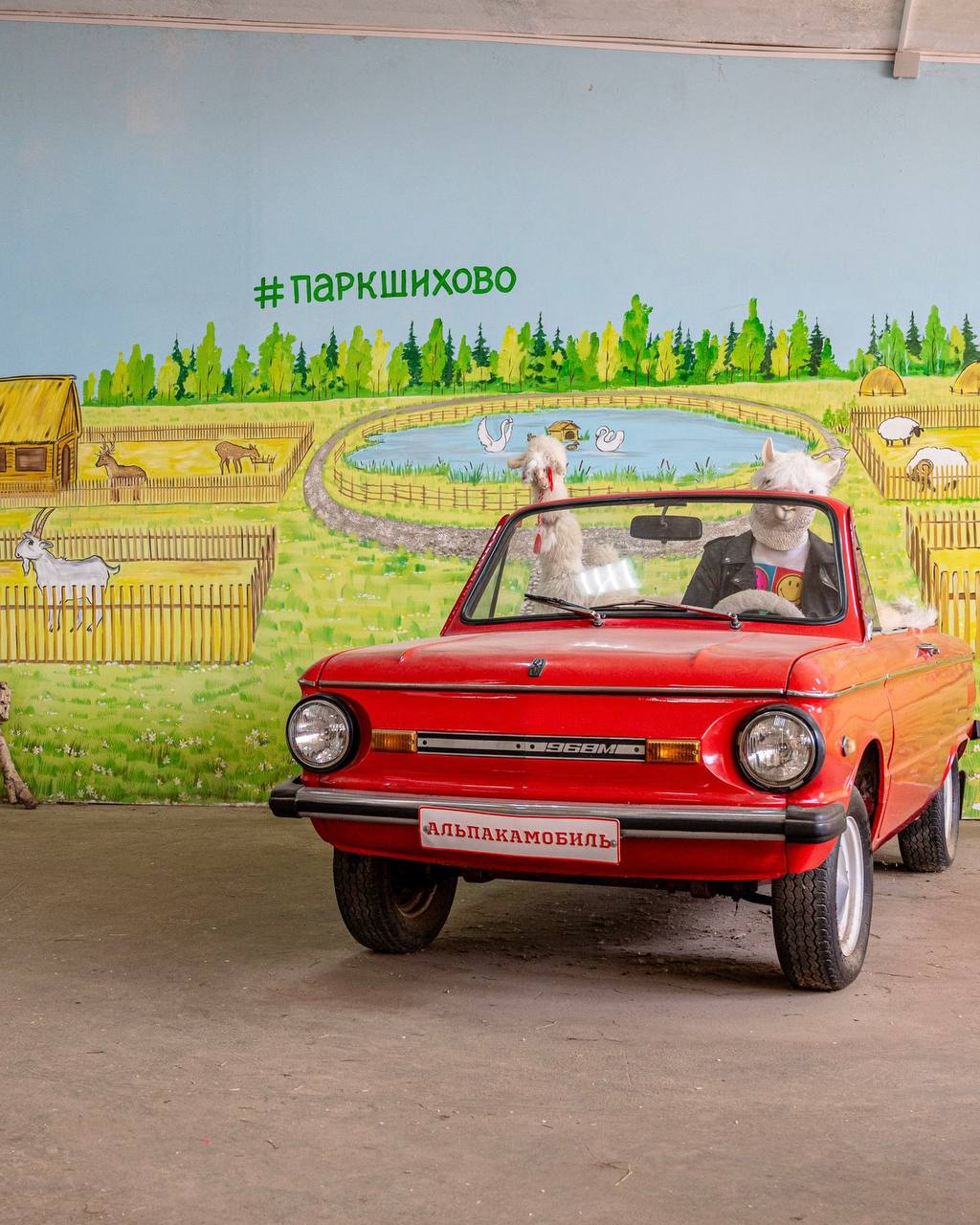 Фото Зооферма Шихово - развлечение в Москве | Досугатор